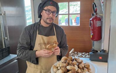 The first seasonal porcini mushrooms have arrived